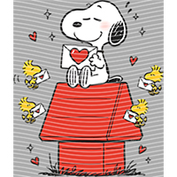 Valentine's Day-QRJ  5561